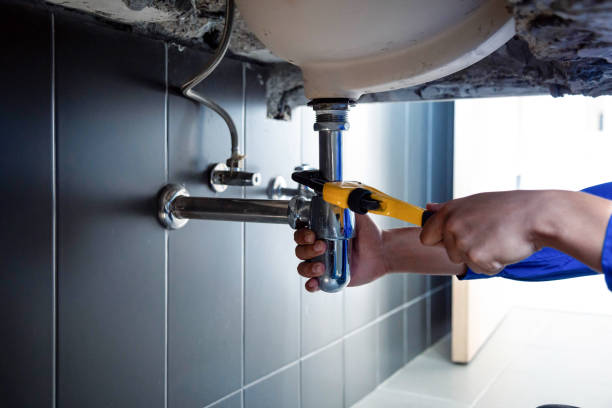 Best Plumbing System Maintenance  in Wilson, AR